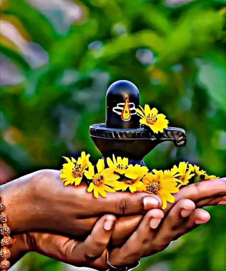 D Shivling image dp D Shivling image dp