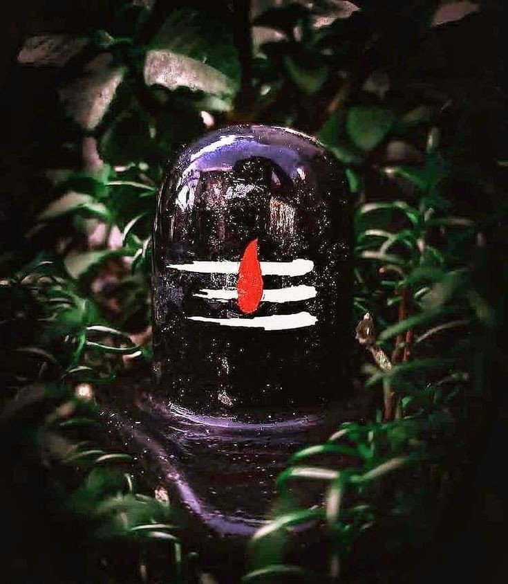 best Shivling dp best Shivling dp