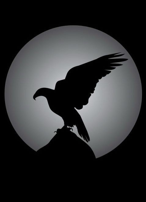 black dp pic hd black dp pic hd